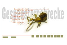 referenz: internet+design | http://www.gespensterschrecke.de